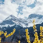 Hidden Retreats Snowpeak Boutique Apartment Brienzwiler