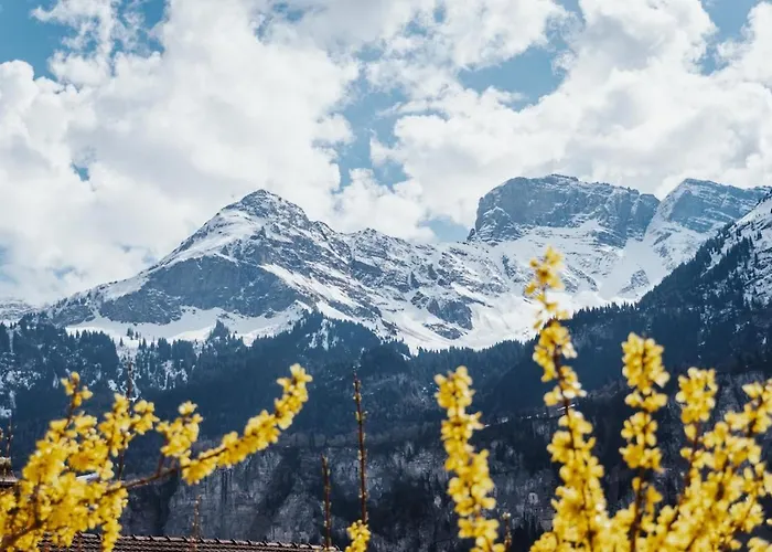 Hidden Retreats Snowpeak Boutique Apartamento Brienzwiler