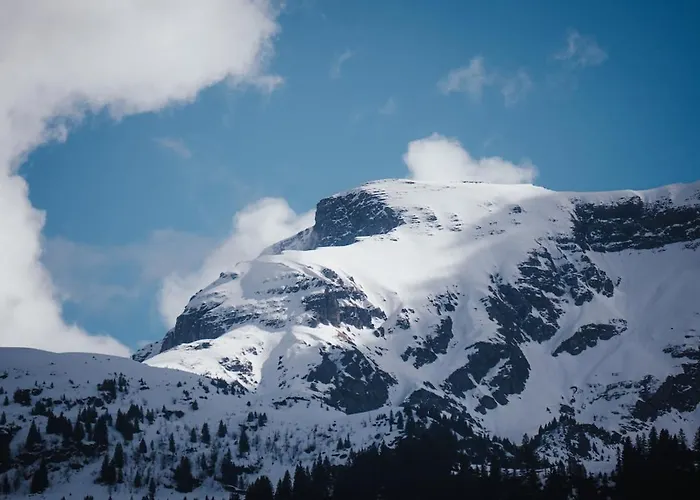 Hidden Retreats Snowpeak Boutique Apartamento Brienzwiler