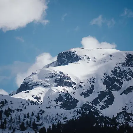 Hidden Retreats Snowpeak Boutique Lejlighed Brienzwiler